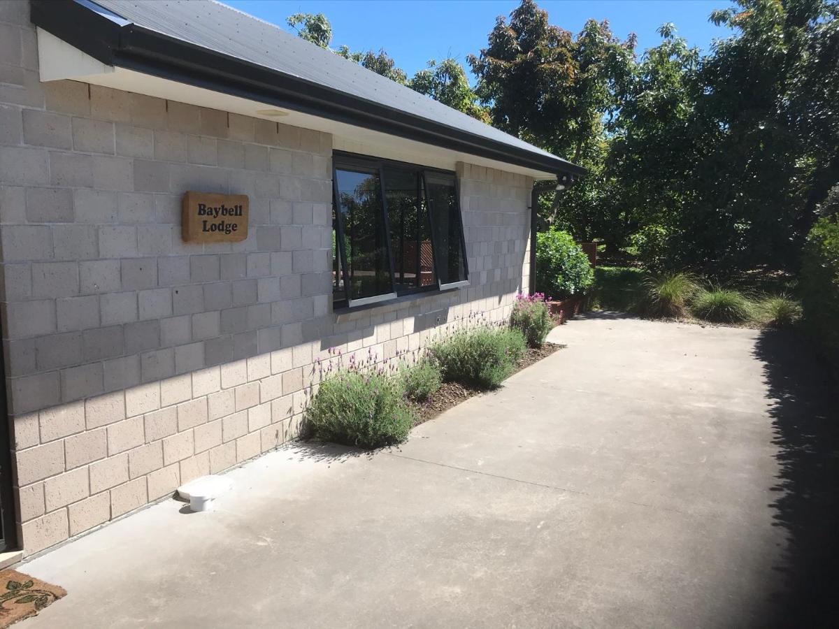 טאורנגה Baybell Lodge מראה חיצוני תמונה